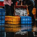 顶级神豪林云刚刚更新八一中 qw7vjo